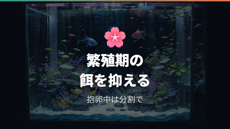 脱腸につながる負担を減らす繁殖期の餌やり