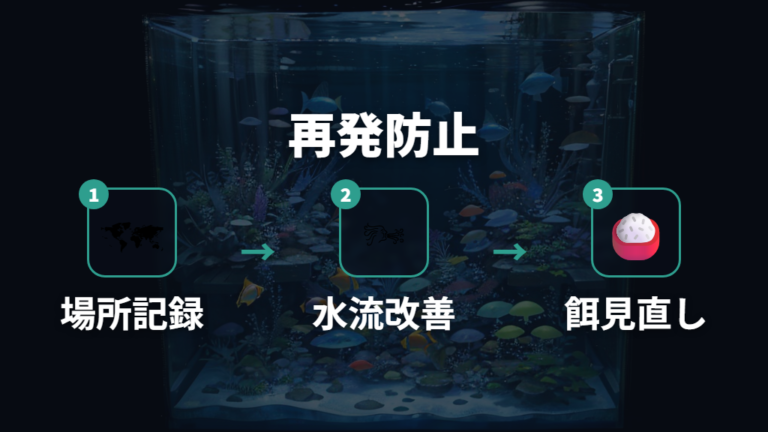 再発防止の管理ポイントは水流・底床・餌を同時に直す
