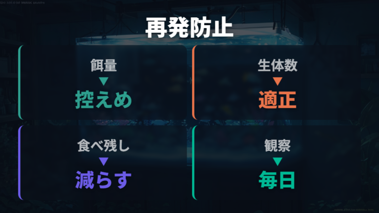 餌と魚の数を見直して白濁りを再発させない