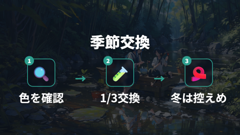 水換えと足し水の方法は季節で変える