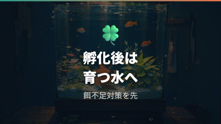 針子が育たないときは餌環境も確認する