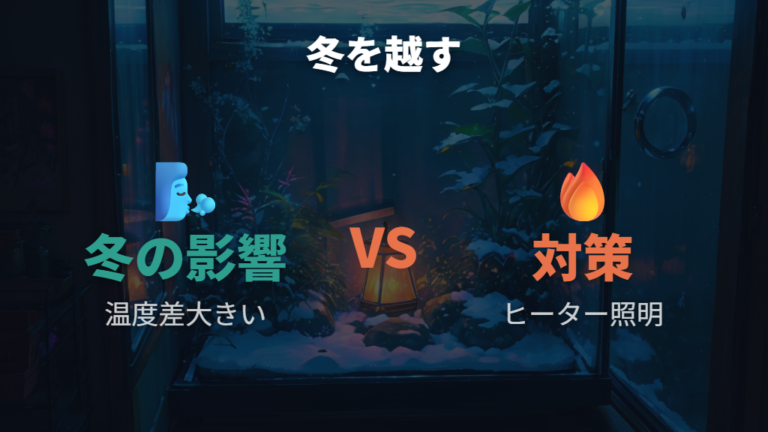 冬の室内飼育と加温・照明は温度差と日照不足を補う