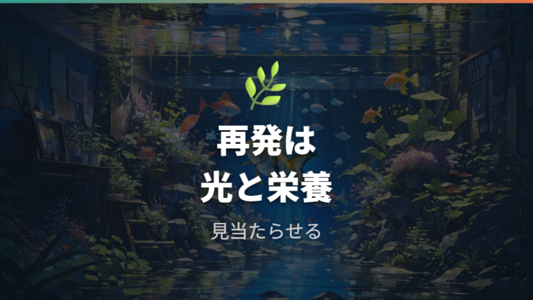 水草と光の調整で再発を抑える