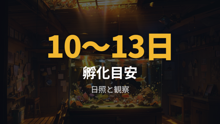 孵化までの水温と日照は卵管理の失敗を減らす