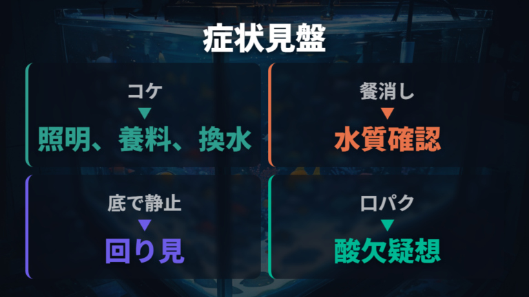 症状別ににおい・コケ・不調を見直す