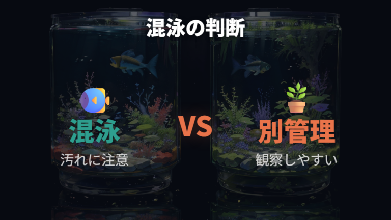 メダカの餌を食べても大丈夫かは混泳環境でも油断しない