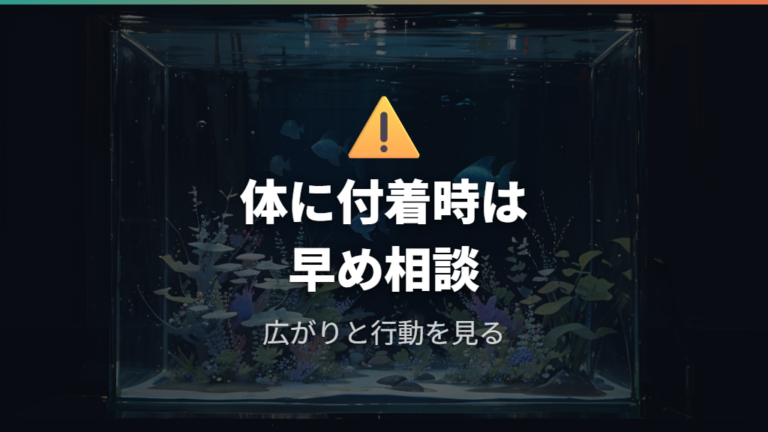 魚に負担をかけない白カビ対策で病気を疑うサイン