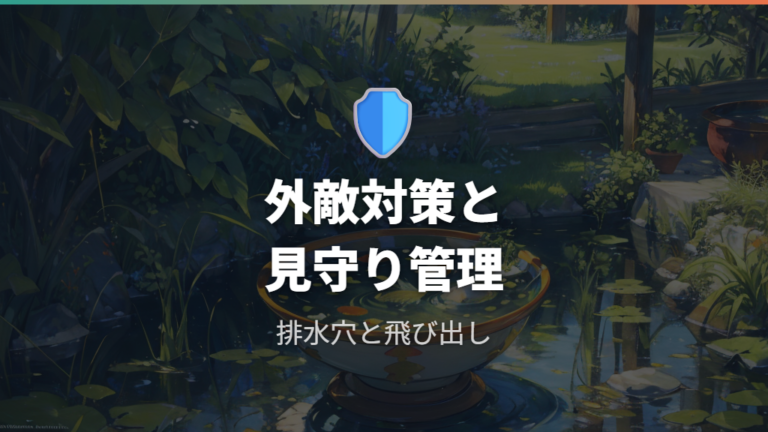 外敵や水位を点検しながら屋外鉢を維持する