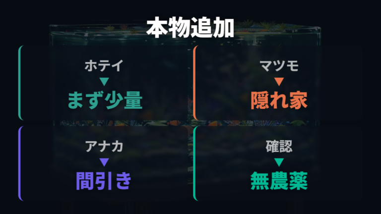 本物の水草を足すならメダカ向きの定番から選ぶ