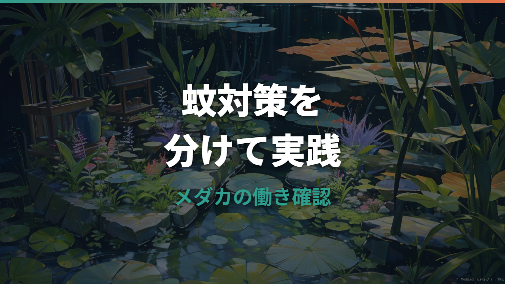 メダカはボウフラを食べる？蚊対策の効果と注意点