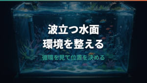水槽エアレーション位置はどこがいい?水面・水流・水草水槽で調整