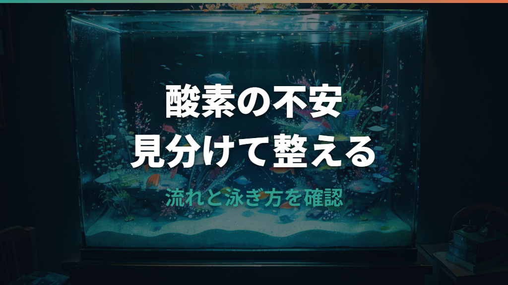 水槽の酸素が多すぎる心配は必要？強すぎるエアレーションの見分け方