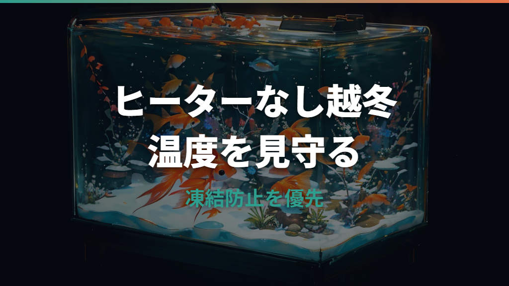 金魚は冬にヒーターなしで大丈夫？越冬できる条件と水温の見方