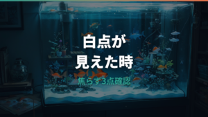 白点病は金魚の白い点で見分ける?症状と治療の考え方