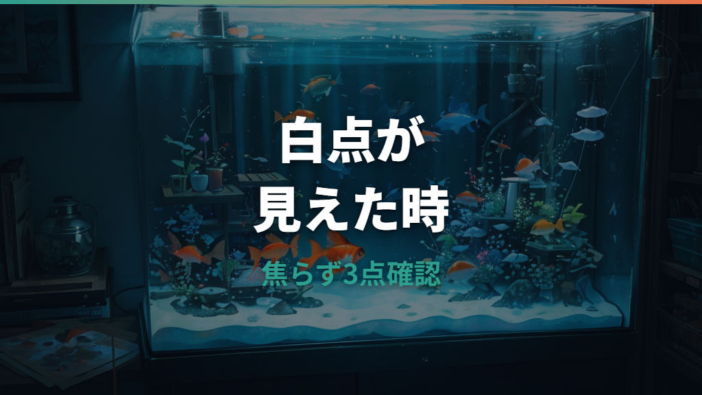 白点病は金魚の白い点で見分ける？症状と治療の考え方
