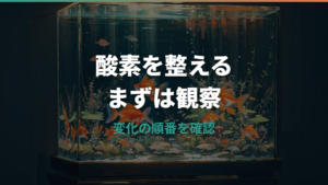 金魚に酸素は必要?不足サインと水面でパクパクするときの対処