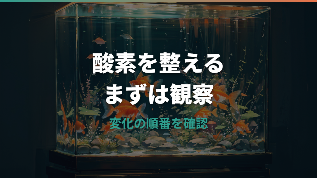 金魚に酸素は必要?不足サインと水面でパクパクするときの対処