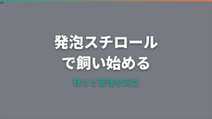 メダカを発泡スチロールで飼うメリットと注意点