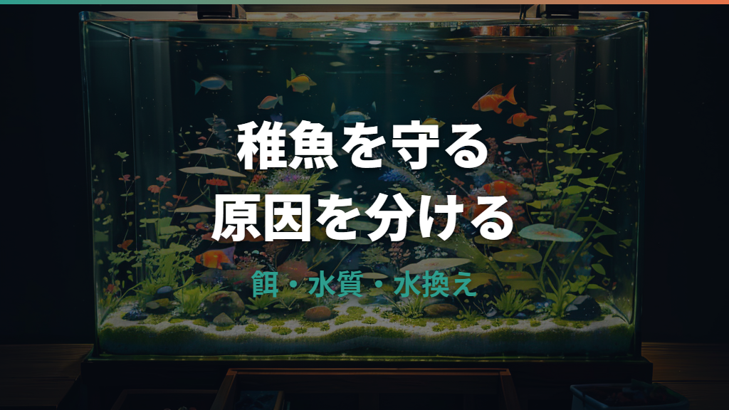 メダカの稚魚が死ぬ原因は餌だけではない｜針子期の水質・水換え・初期餌を見直す