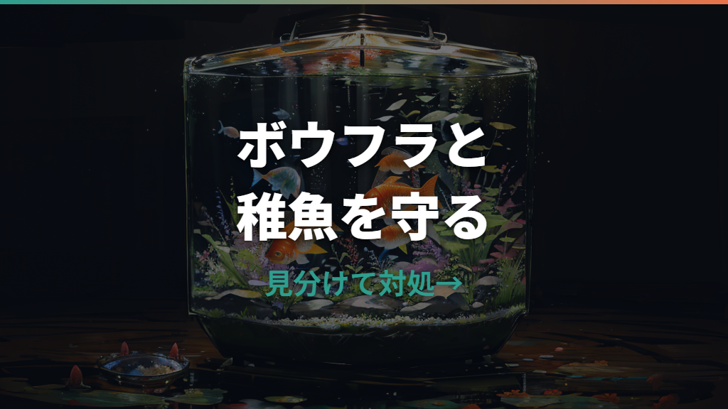 メダカの稚魚はボウフラを食べる？危険性と稚魚容器の対策