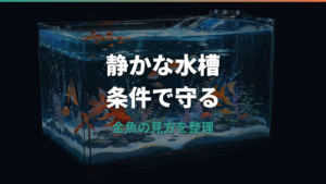 金魚はエアレーション無しで飼える?条件と酸欠サインを整理