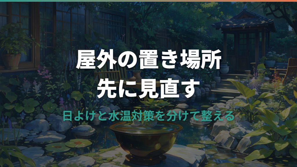 メダカの夏対策は屋外の置き場所から｜水温・酸欠・餌やりの見直し