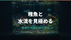 メダカ稚魚のエアレーションは必要?水流を弱める条件となし飼育の考え方