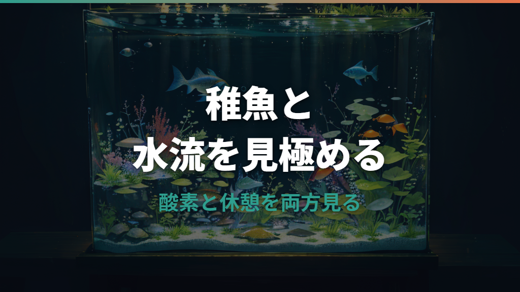 メダカ稚魚のエアレーションは必要？水流を弱める条件となし飼育の考え方