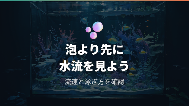 酸素が多すぎる水槽の影響は水流と分けて考える