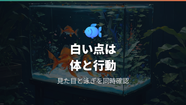 白点病の症状と見分け方は白い点とこすりつけを見る