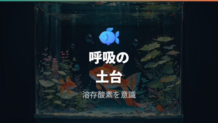 金魚に酸素が必要な理由は呼吸と代謝にある