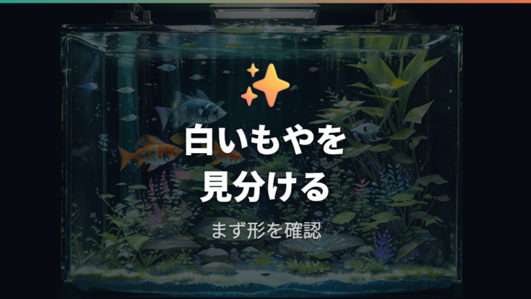 体に付く白いカビの正体は水カビ病として見る