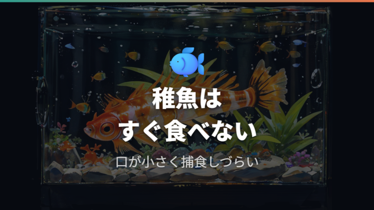 稚魚はボウフラを食べるのかを先に判断する