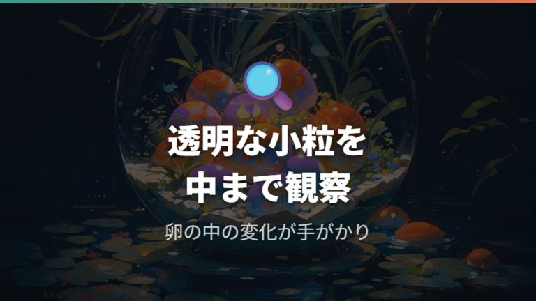 メダカの卵の見た目と特徴は透明な小粒で見分ける