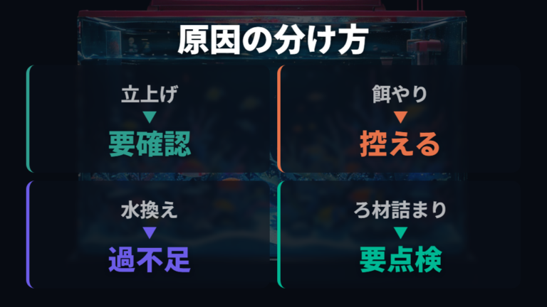 白濁りが治らない主な原因はろ過バクテリアと汚れの処理不足から見る