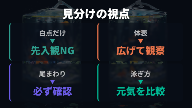 白い点が出る他の病気もあるため体や尾まで確認する