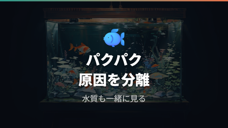 水面でパクパクする原因は酸素不足だけに決めつけない