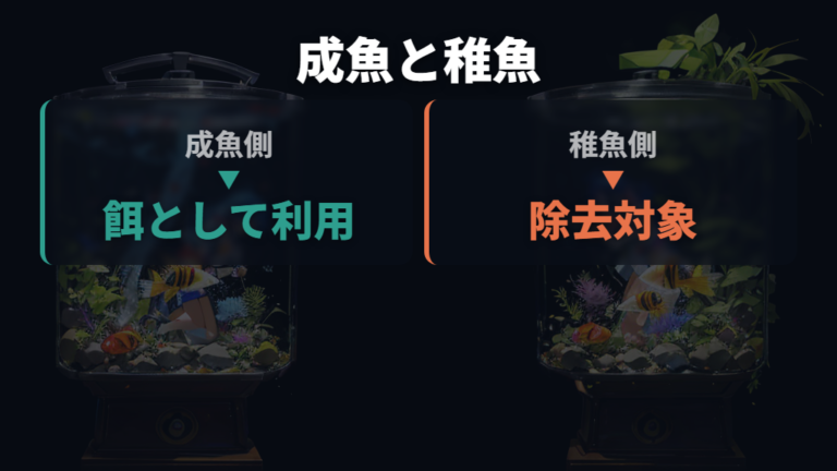 餌にするメリットと注意点は成魚と稚魚で分ける