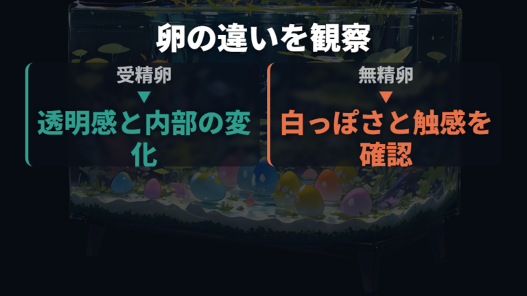 有精卵と無精卵の見分け方は孵化する卵を軸にする