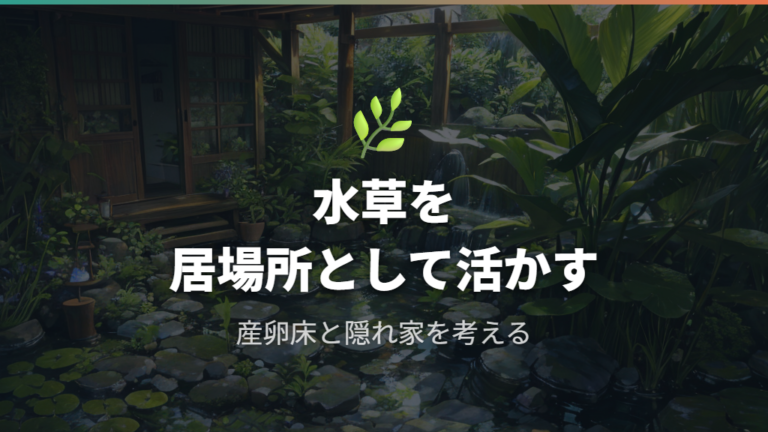 初心者向け屋外ビオトープの作り方で水草を活かす