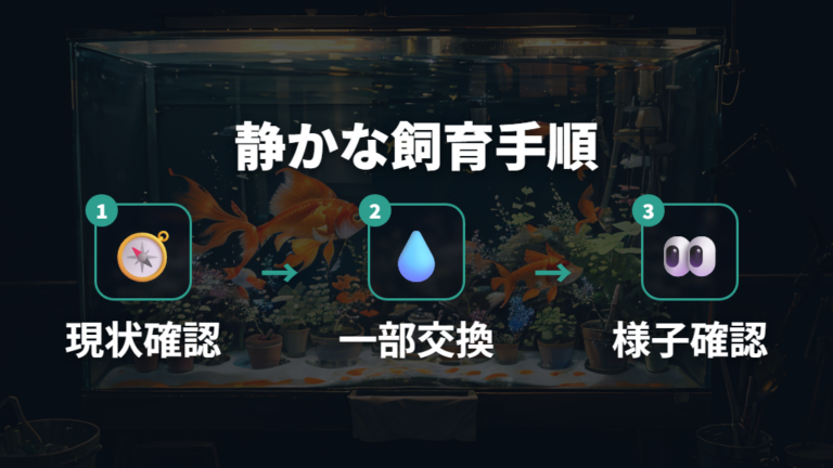 ぶくぶくなしの基本的な飼い方は水を一気に変えない