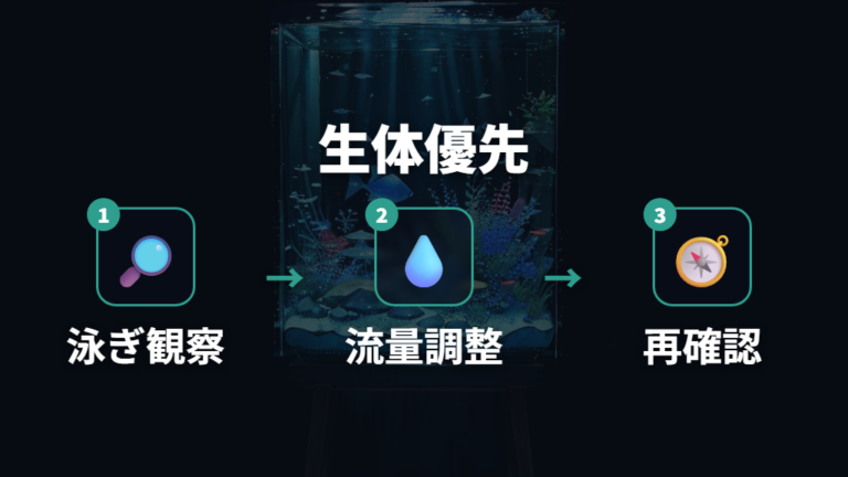 ろ過能力と水流の考え方は生体から逆算する