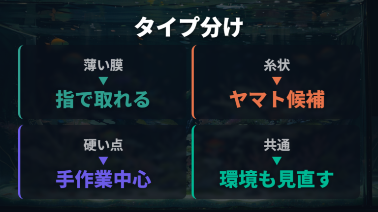 緑ゴケの種類別の対策は柔らかいタイプと硬いタイプで分ける