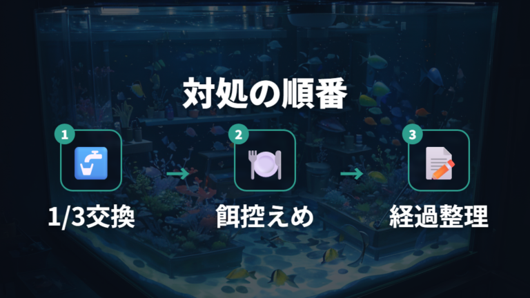 薬剤前に試す白濁り対処法は水換え量と餌を控えることから始める