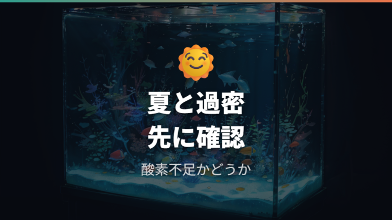 酸欠になりやすい飼育環境は夏と過密を先に見る