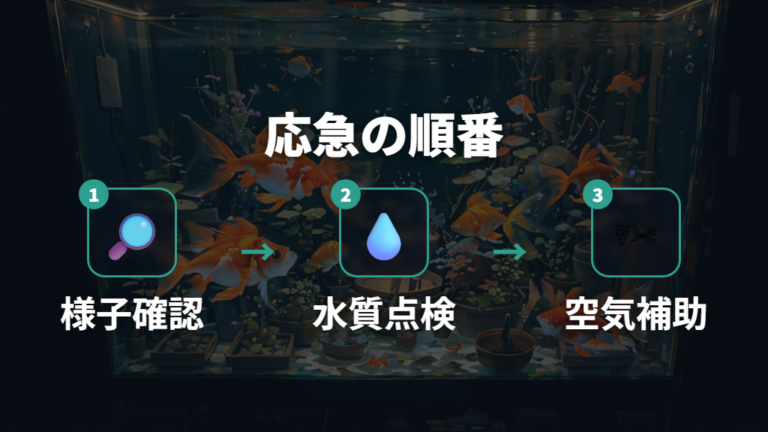 酸欠時の応急処置は酸素供給を確保して水質を見る