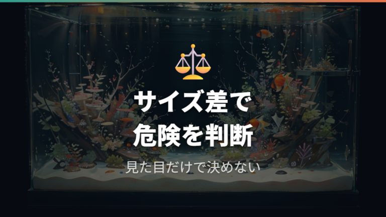 ボウフラは稚魚に危険なのかをサイズ差で見る