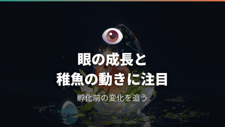 孵化前の卵に見える変化は眼と稚魚の動きに注目する
