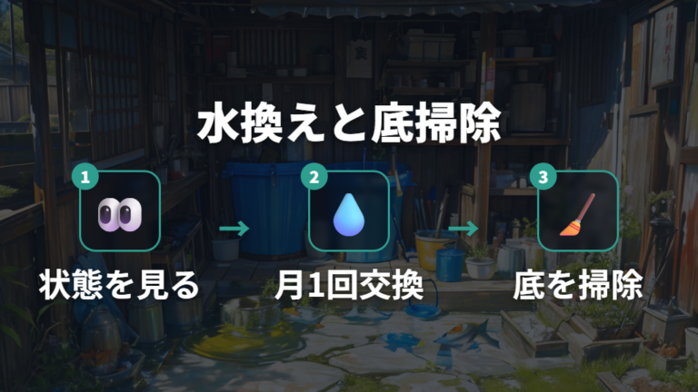 餌や水換えの適切な頻度は環境に合わせて考える