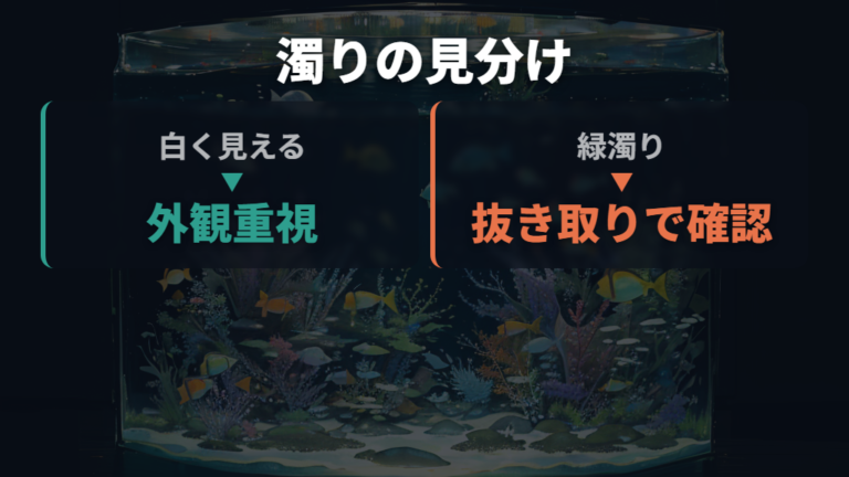 白く見える濁りは緑濁りや水流の舞い上がりも確認する